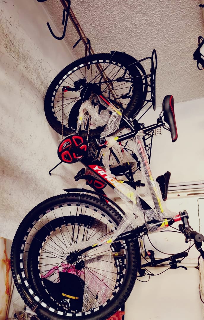 Bicycles for Adults