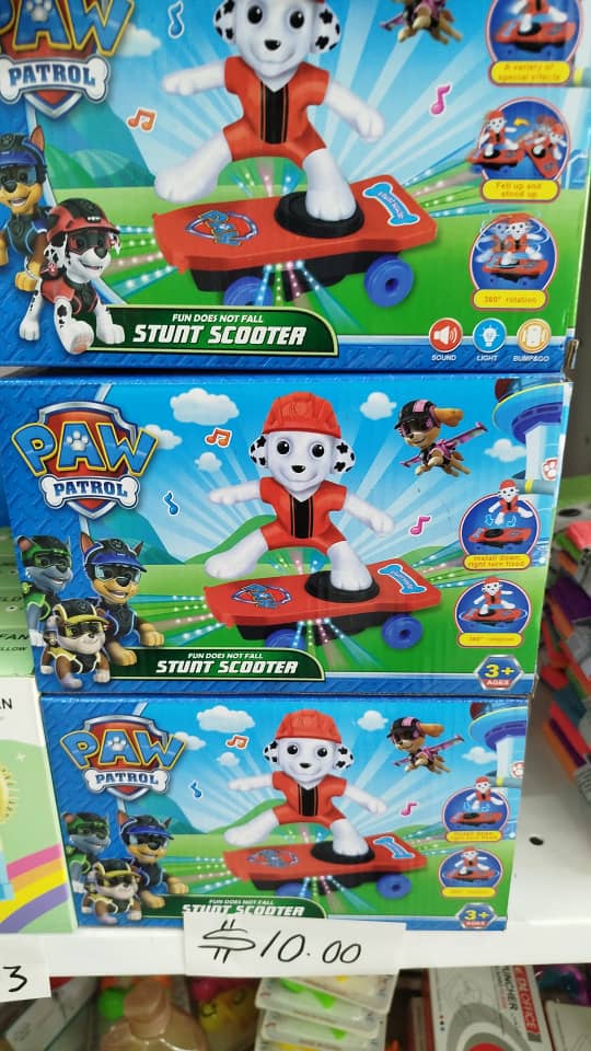 Moving Paw Patrol on a Skateboard 2