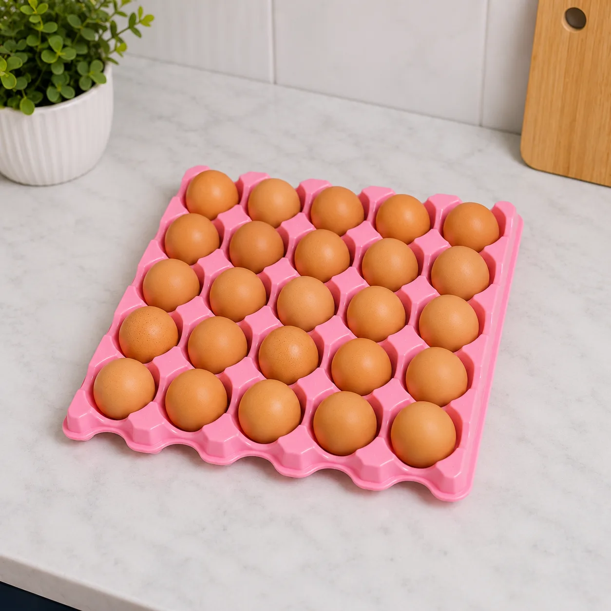 Egg Tray