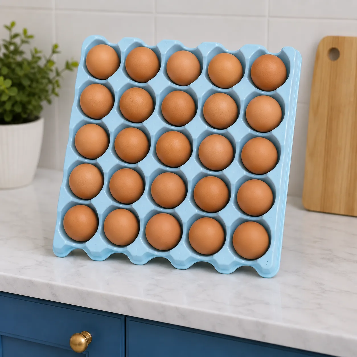 Egg Tray 2